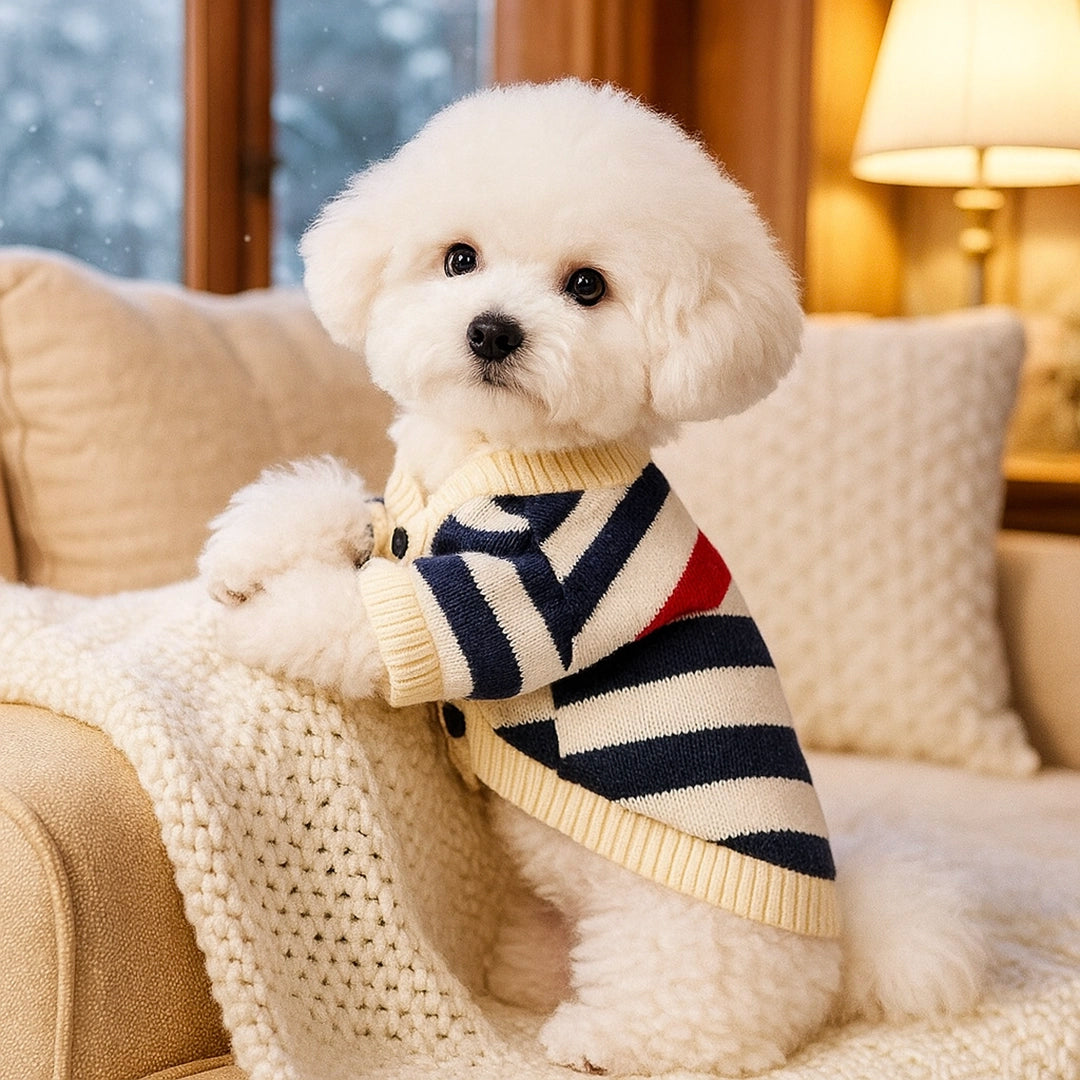 Gestreifter Hundemantel & Hundepullover | Warmer Strick-Cardigan für kleine Hunde im Winter
