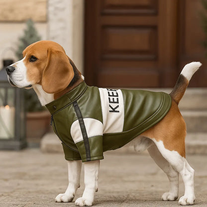 Hundemantel im Leder-Look | Stylische Hundejacke für Herbst & Winter