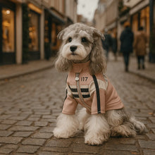 Dog coat in leather look | Stylish dog jacket for autumn & winter