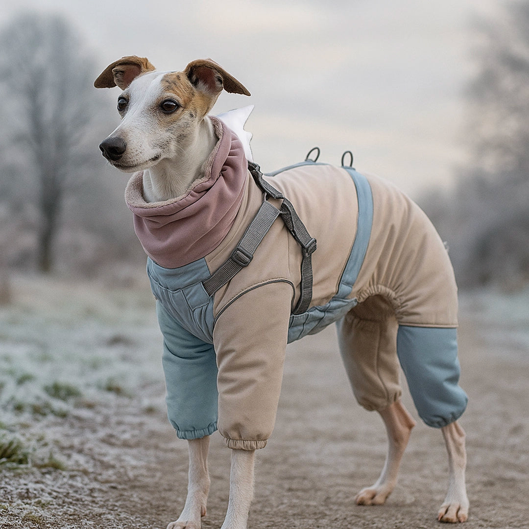 Hundemantel Hai-Design | Warmer Hundepullover mit Geschirr & Reflektoren
