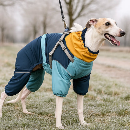 Hundemantel Hai-Design | Warmer Hundepullover mit Geschirr & Reflektoren