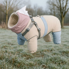 Dog Coat Shark Design | Warmer Dog Sweater with Harness & Reflectors