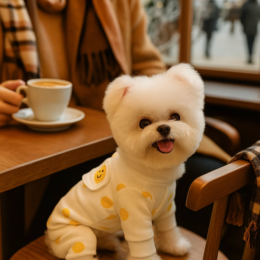 Hundepullover Winter | Warmer Strickpullover mit Eier-Muster für Hunde