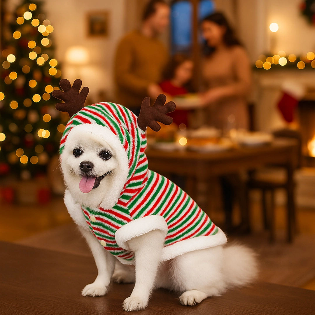 Hundepullover Weihnachten | Warmer Strickpullover für Hunde in festlichem Design