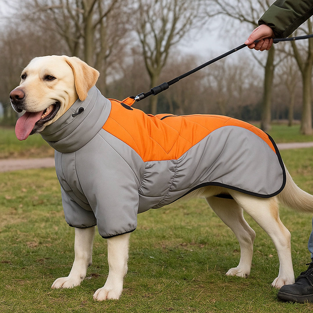 Hundemantel Winter | Wasserdichte Hundejacke für große Hunde
