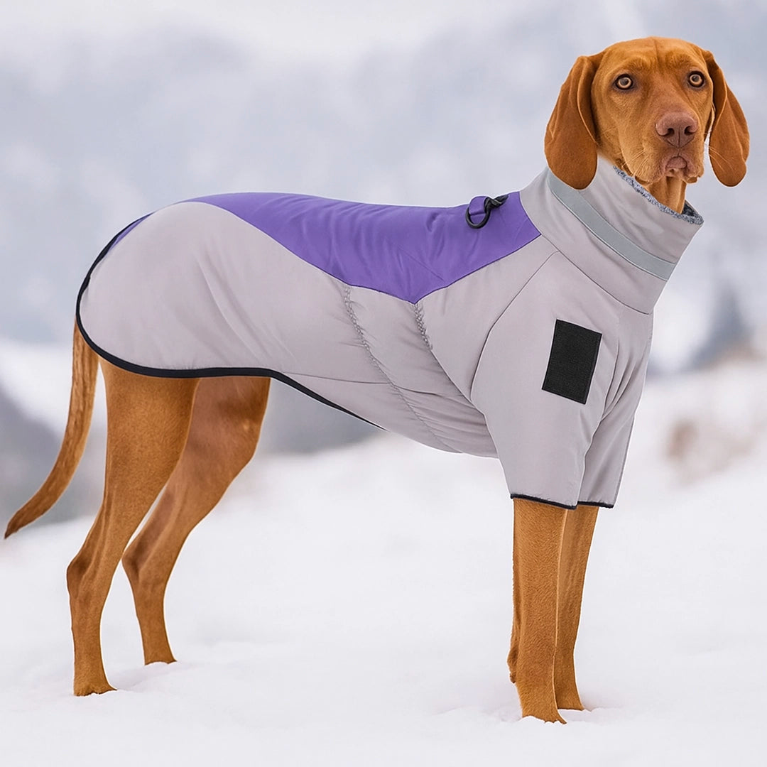 Hundemantel Winter | Wasserdichte Hundejacke für große Hunde
