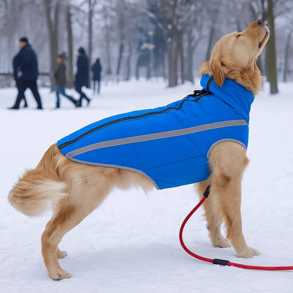 Manteau d'hiver pour chien | Chaud, déperlant & coupe-vent avec col roulé