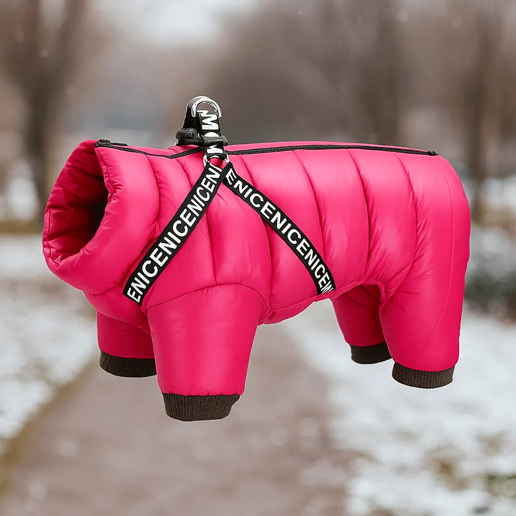 Hundemantel Winter | Wärmender Schutz für kalte Tage