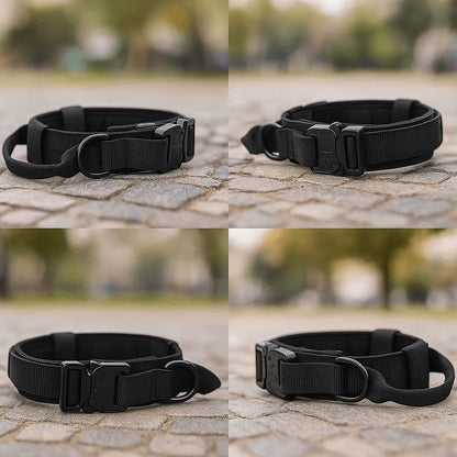 Nylon Hundehalsband mit Klickverschluss | Verstellbar & Robust
