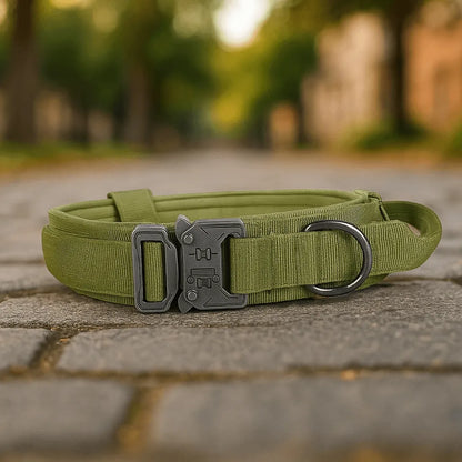Nylon Hundehalsband mit Klickverschluss | Verstellbar & Robust