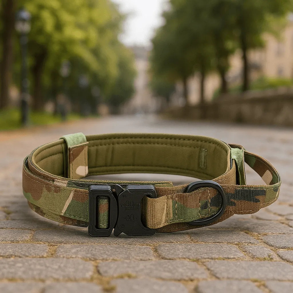 Nylon Hundehalsband mit Klickverschluss | Verstellbar & Robust