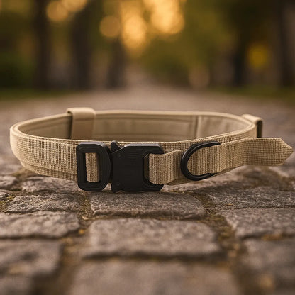 Nylon Hundehalsband mit Klickverschluss | Verstellbar & Robust
