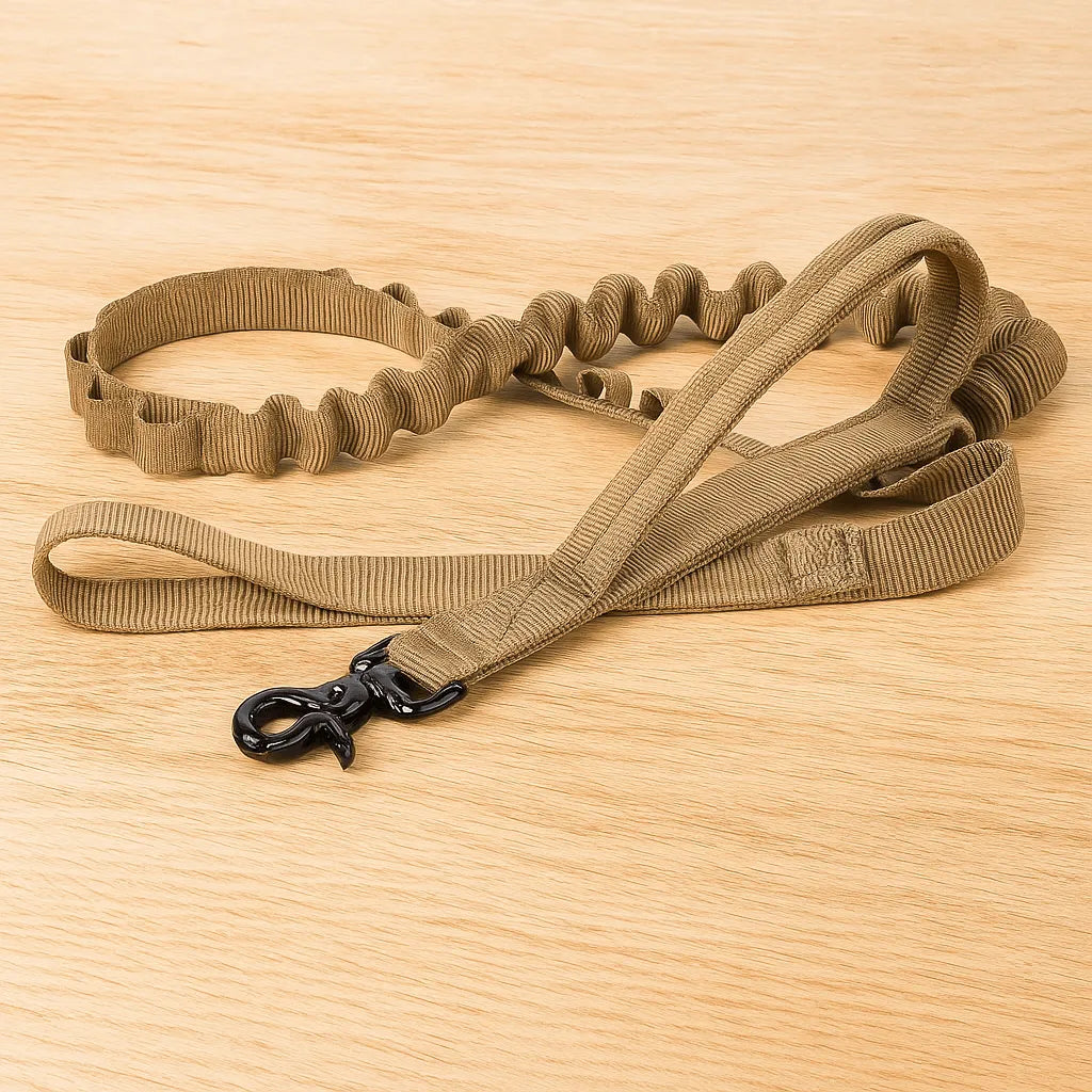 Nylon Hundehalsband mit Klickverschluss | Verstellbar & Robust