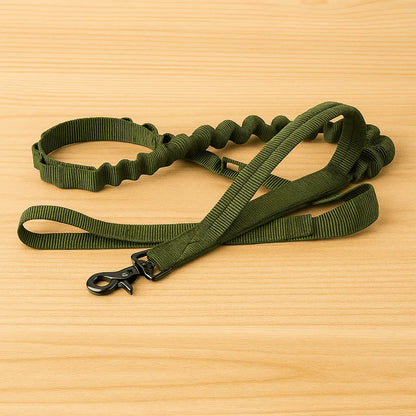 Nylon Hundehalsband mit Klickverschluss | Verstellbar & Robust
