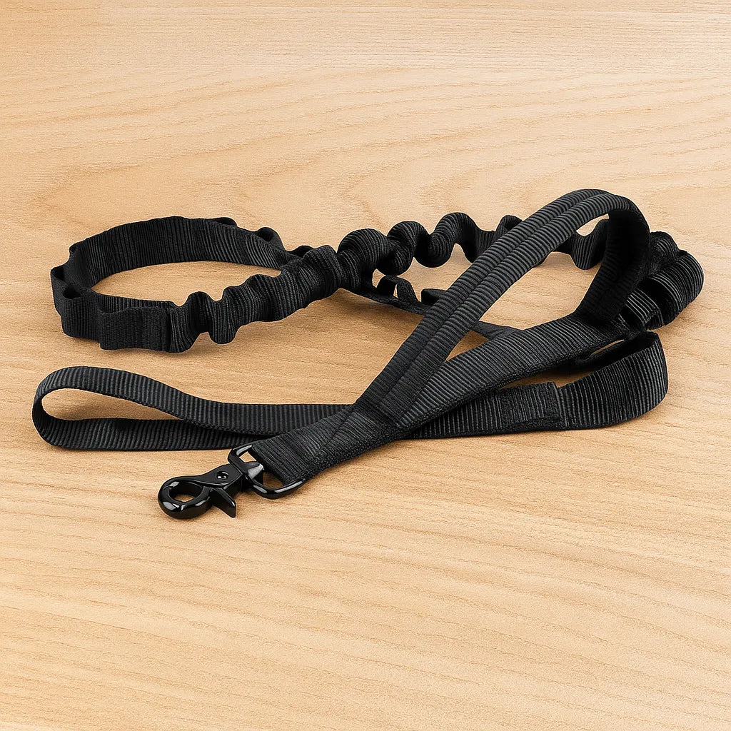 Nylon Hundehalsband mit Klickverschluss | Verstellbar & Robust