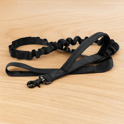 Nylon Hundehalsband mit Klickverschluss | Verstellbar & Robust
