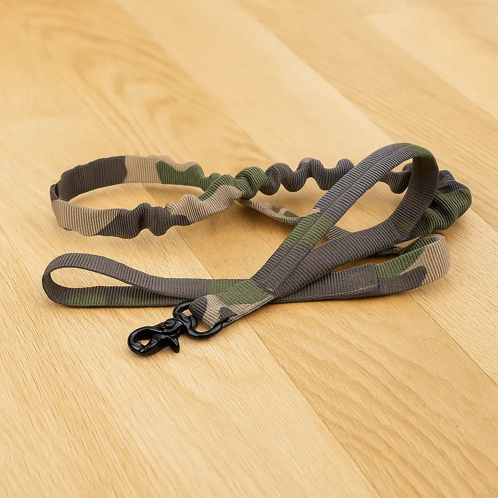 Nylon Hundehalsband mit Klickverschluss | Verstellbar & Robust