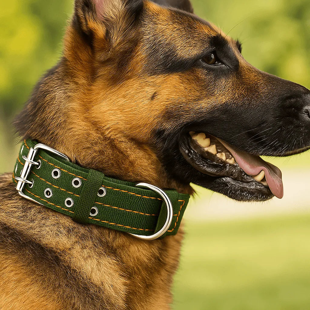 Hundehalsband für Große Hunde | Verstellbares Nylonhalsband mit Metallverschluss