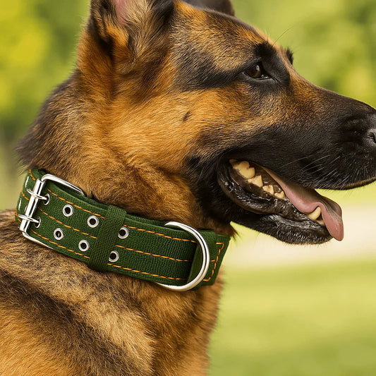 Hundehalsband für Große Hunde | Verstellbares Nylonhalsband mit Metallverschluss