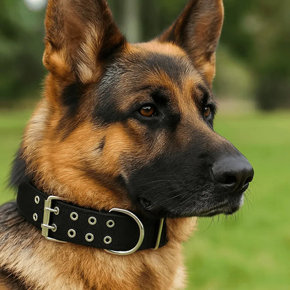 Hundehalsband für Große Hunde | Verstellbares Nylonhalsband mit Metallverschluss