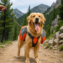 Dog bag & bowl | breathable, reflective & comfortable