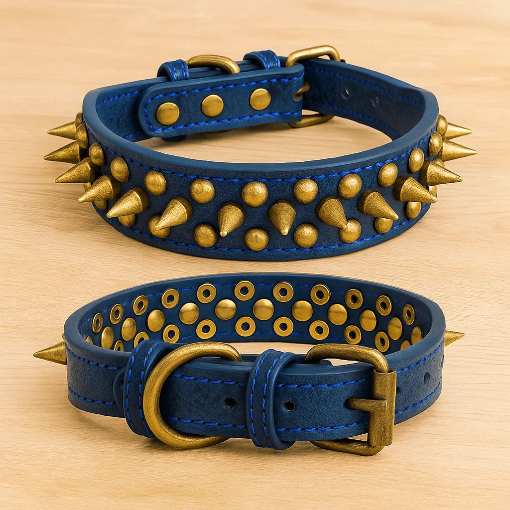 Leder Hundehalsband mit Nieten & Stacheln | stilvoll & robust