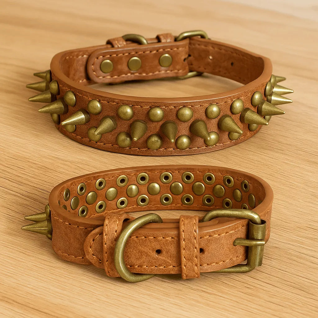 Leder Hundehalsband mit Nieten & Stacheln | stilvoll & robust