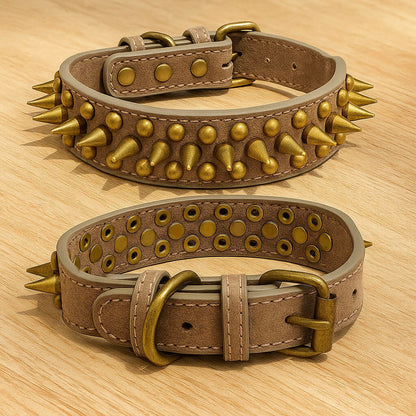 Leder Hundehalsband mit Nieten & Stacheln | stilvoll & robust