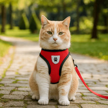 Breathable Cat Harness with Leash | Comfort & Safety