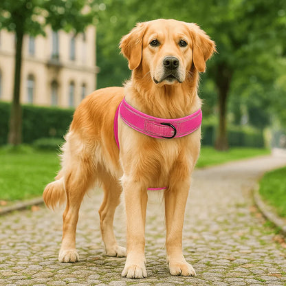 Anti-Zieh Hundegeschirr | Verstellbar, gepolstert & reflektierend