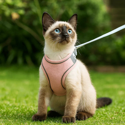 Katzengeschirr | verstellbar, gepolstert & reflektierend