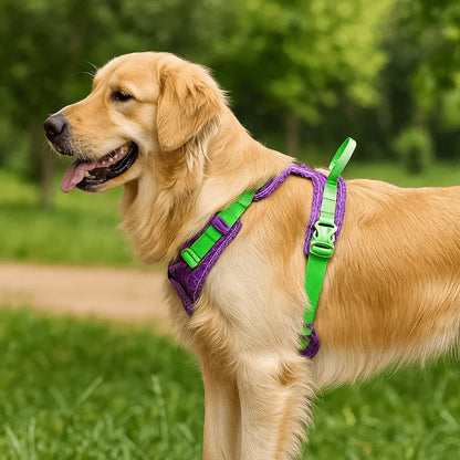 Hundegeschirr tropisches Design | Verstellbar, gepolstert & robust für aktive Hunde