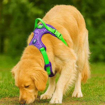 Hundegeschirr tropisches Design | Verstellbar, gepolstert & robust für aktive Hunde