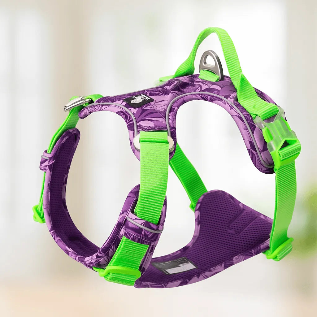 Hundegeschirr tropisches Design | Verstellbar, gepolstert & robust für aktive Hunde