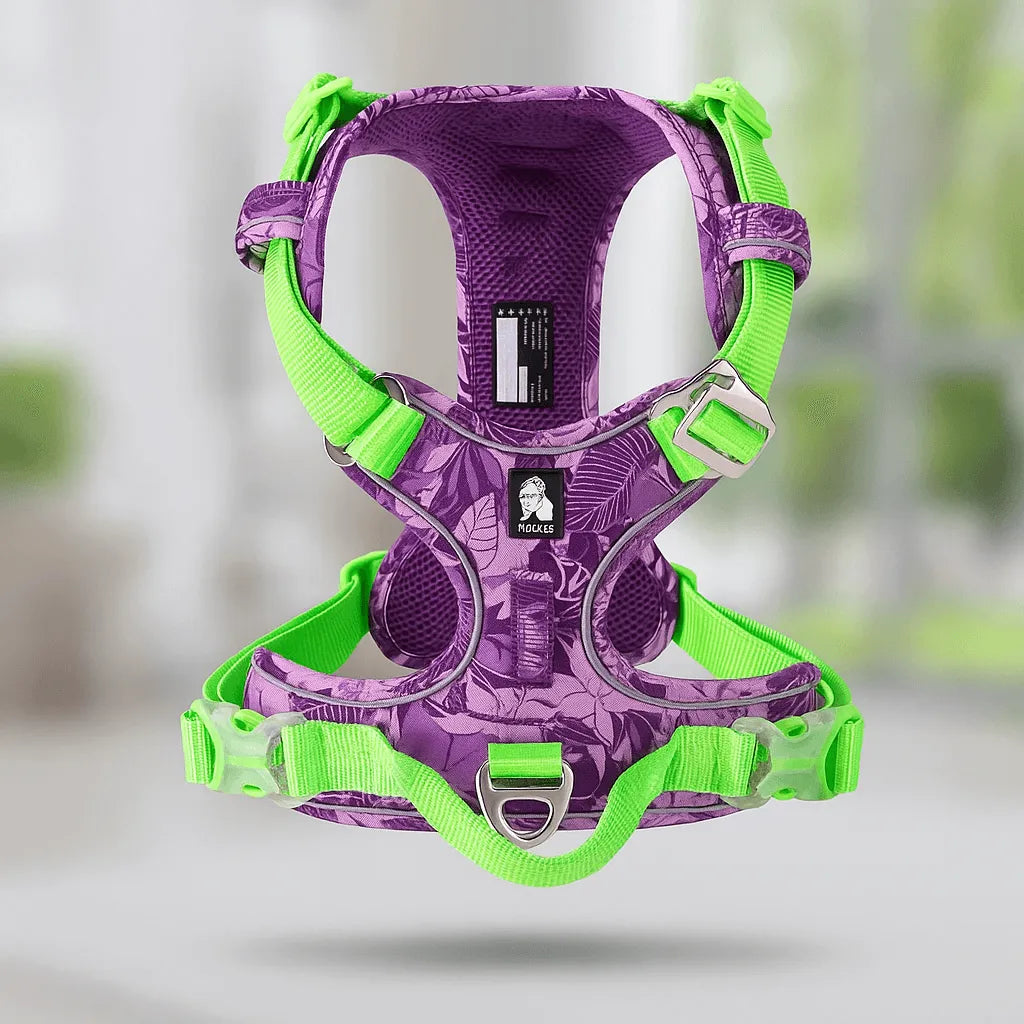 Hundegeschirr tropisches Design | Verstellbar, gepolstert & robust für aktive Hunde
