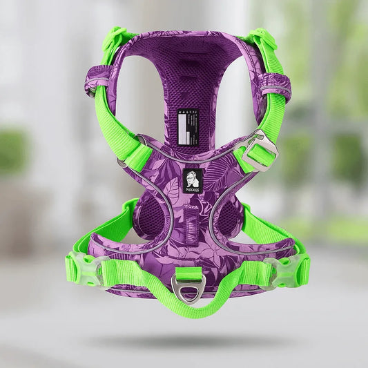 Hundegeschirr tropisches Design | Verstellbar, gepolstert & robust für aktive Hunde