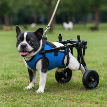 Fauteuil roulant léger et réglable pour chien | Stable & confortable