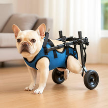 Fauteuil roulant léger et réglable pour chien | Stable & confortable