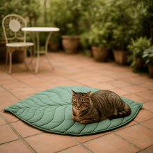 Double-sided cat blanket | soft, durable & easy to clean