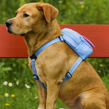 Dog harness with backpack | practical, comfortable & ideal for outdoor use