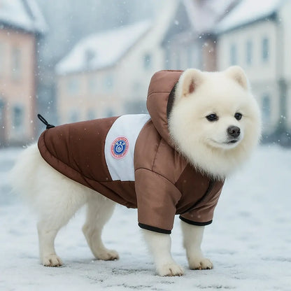 Hundemantel mit Kapuze | wasserfest, winddicht & warm im Winter