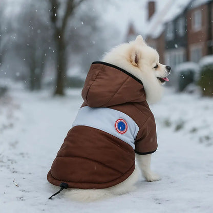 Hundemantel mit Kapuze | wasserfest, winddicht & warm im Winter