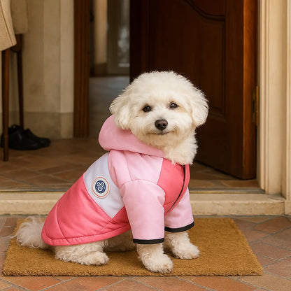Hundemantel mit Kapuze | wasserfest, winddicht & warm im Winter