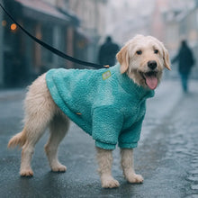 Dog coat made of wool | warm & stylish for autumn & winter