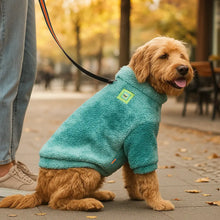Dog coat made of wool | warm & stylish for autumn & winter