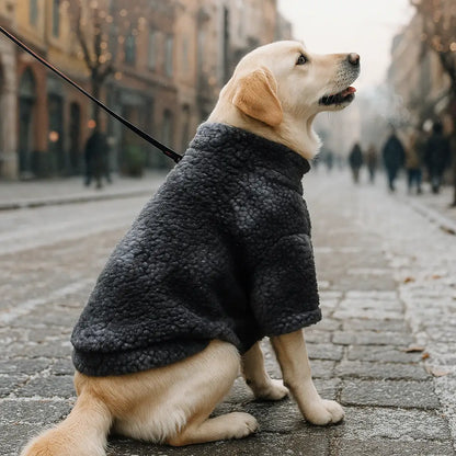 Hundemantel aus Wolle | warm & stilvoll für Herbst & Winter