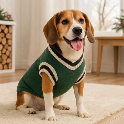 Hundepullover | Warmer V-Ausschnitt Strickpullover für Hunde