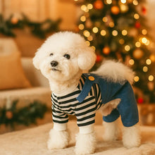 Dog Clothing & Dog Coat with Suspenders | Comfortable & Stylish
