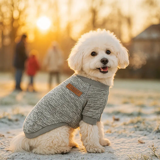 Hundepullover Winter | Weicher Warmer Hundemantel für Kleine Hunde