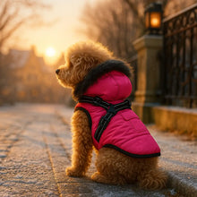 Dog coat winter waterproof with harness | warm & stylish